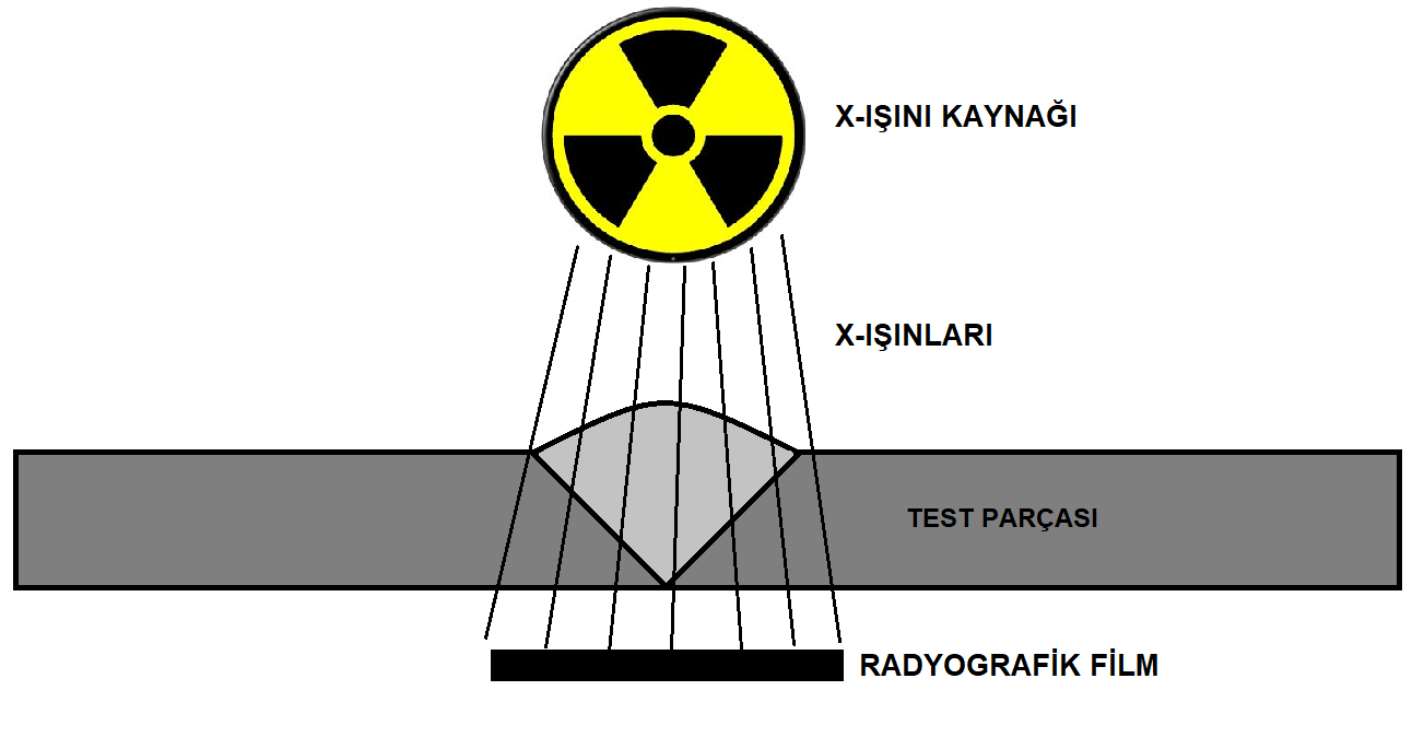 ndt12