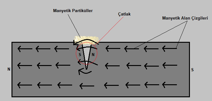 ndt2