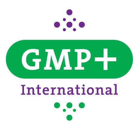 gmp-international