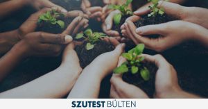 Szutest Bülten Ekim 2019
