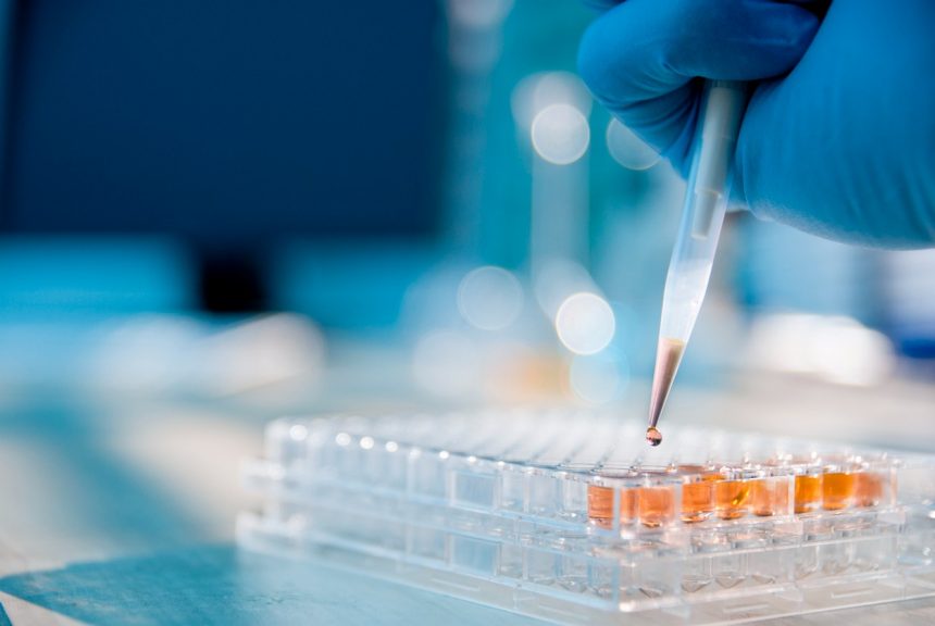 IVD Üreticilerine Güven Veren Belgelendirme Hizmeti: ISO 13485 Uzmanlığımızla Yanınızdayız!