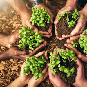 ISO 14001 Çevre Yönetim Sistemi: Sürdürülebilir Başarıya Giden Yol ISO 14001 Çevre Yönetim Sistemi: Sürdürülebilir Başarıya Giden Yol