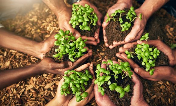 ISO 14001 Çevre Yönetim Sistemi: Sürdürülebilir Başarıya Giden Yol