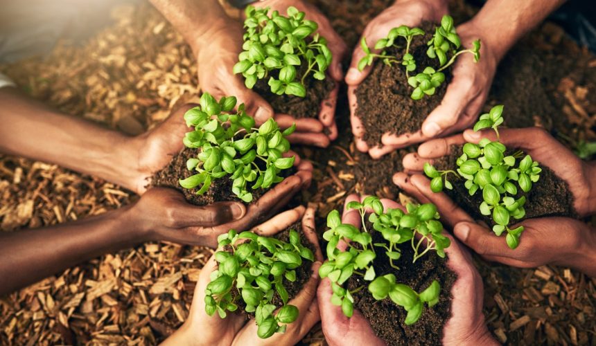 ISO 14001 Çevre Yönetim Sistemi: Sürdürülebilir Başarıya Giden Yol ISO 14001 Çevre Yönetim Sistemi: Sürdürülebilir Başarıya Giden Yol